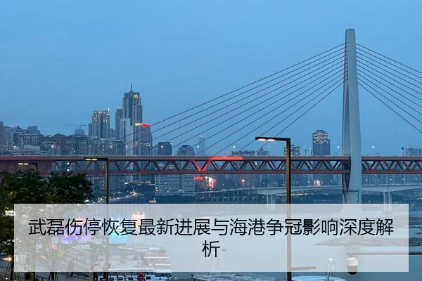 武磊伤停恢复最新进展与海港争冠影响深度解析